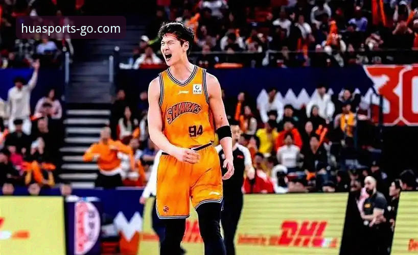 揭秘王哲林14年首冠背后的真相：从数据到心理的全面突破